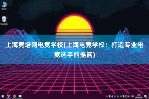 上海竞培网电竞学校(上海电竞学校：打造专业电竞选手的摇篮)