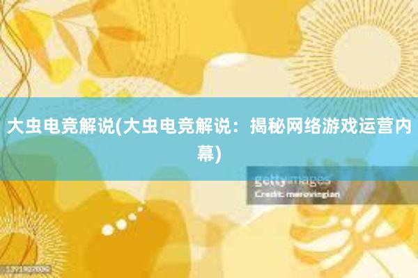 大虫电竞解说(大虫电竞解说：揭秘网络游戏运营内幕)