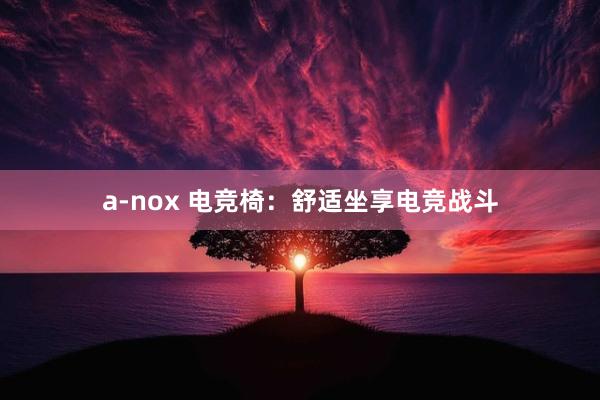 a-nox 电竞椅：舒适坐享电竞战斗